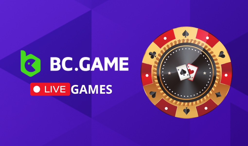 Understanding the Importance of BCGame.vc KYC Process Understanding the Importance of BCGame.vc KYC Process