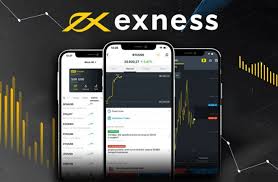 Maximize Your Trading Experience with Exness Web Platform Maximize Your Trading Experience with Exness Web Platform
