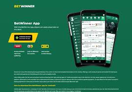 Все, что следует знать о métodos de pagamento Betwinner Все, что следует знать о métodos de pagamento Betwinner