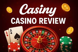 Exploring Your Casiny Account Features, Benefits, and More