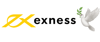 The Importance of Understanding Exness Disclaimer The Importance of Understanding Exness Disclaimer