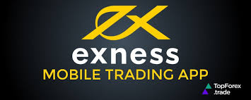 Comprehensive Exness FPA Reviews Insights and User Experiences Comprehensive Exness FPA Reviews Insights and User Experiences