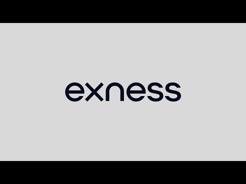 Comprehensive Insights on Exness Forex & Cfds