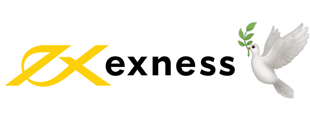 Comprehensive Insights on Exness Forex & Cfds