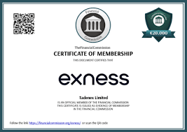Download Exness MT4 Android Trader Your Guide to Mobile Trading